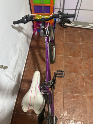 Bicicleta MITICAL Katana Morada