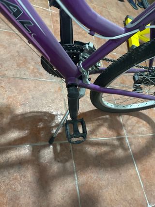 Bicicleta MITICAL Katana Morada