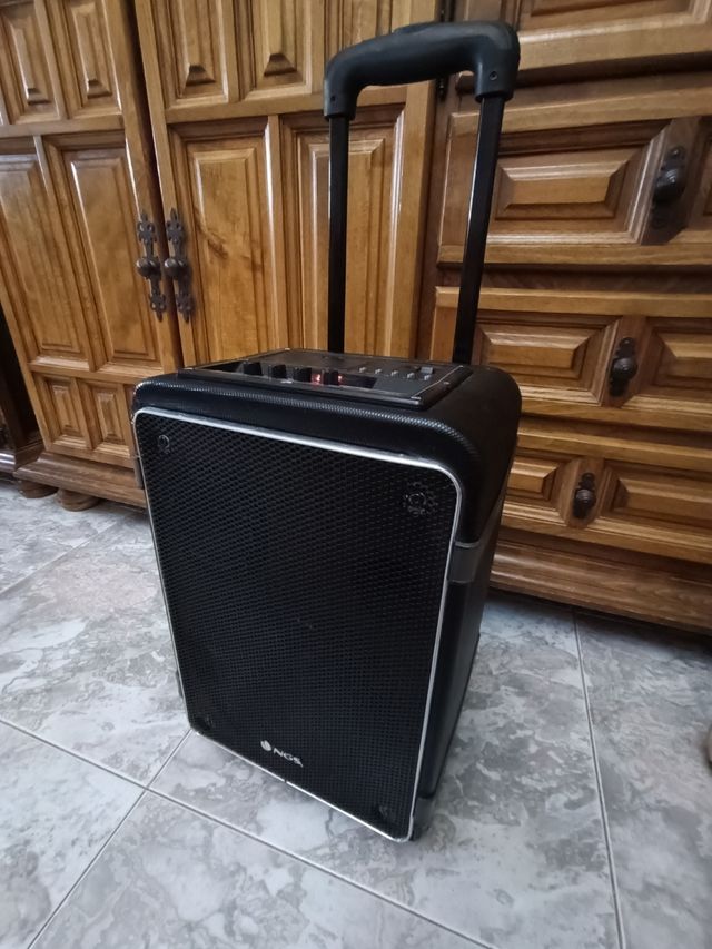 Altoparlante Bluetooth portatile NGS 40W