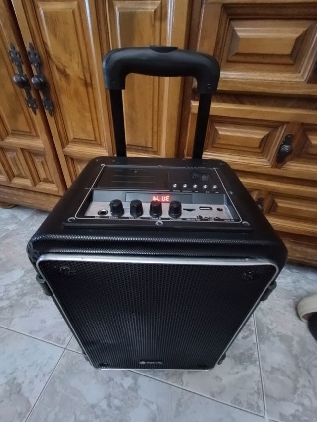 Altoparlante Bluetooth portatile NGS 40W