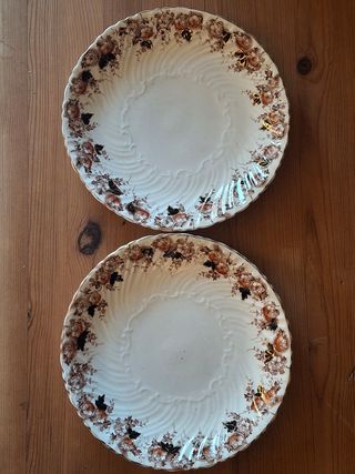 Antiguos platos porcelana inglesa