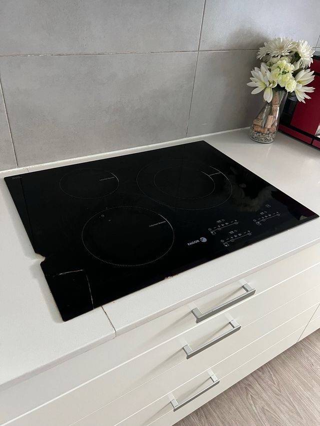 Placa de inducción Fagor