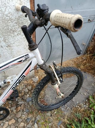 Bicicleta infantil Free Rider
