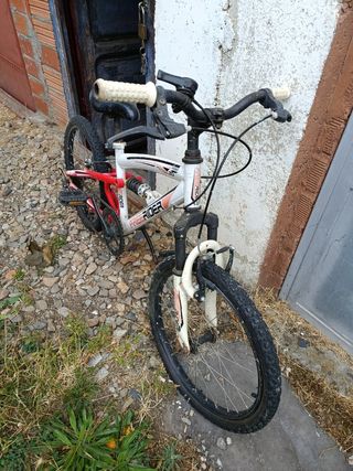 Bicicleta infantil Free Rider