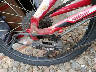Bicicleta infantil Free Rider