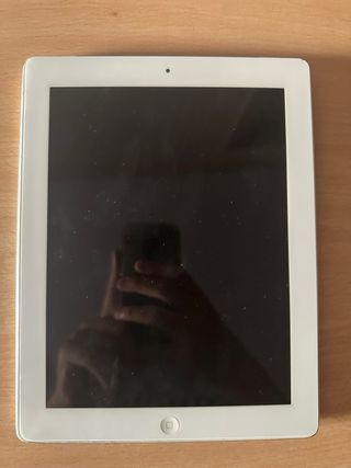 Apple iPad Gris