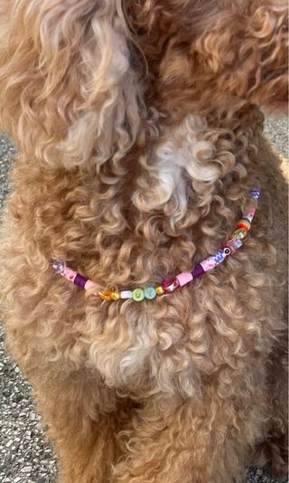 Collana per cane fatta a mano con perline 