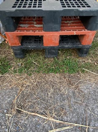 Palets de plástico resistentes