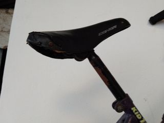 Bicicleta Montaña Infantil 20