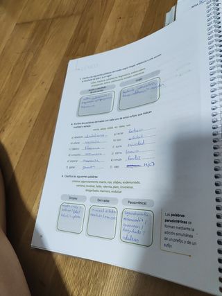 Cuaderno ProDigi. Lengua castellana y Literatur...