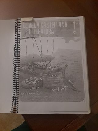 Lengua castellana y literatura