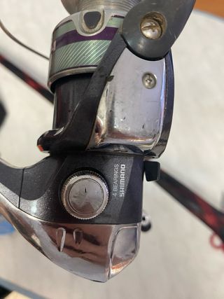 Carrete Shimano Sienna 4000