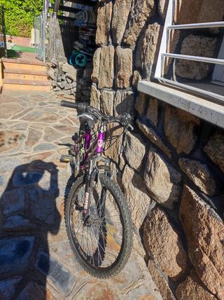 Bicicleta Niña 24 Morada