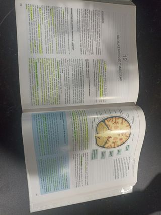 Anatomia Patologica (Spanish Edition)