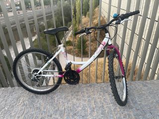 Bicicleta Niña Rodado 24