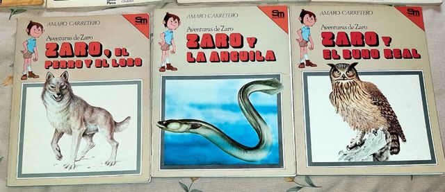 SM LIBROS COLECCIONISMO