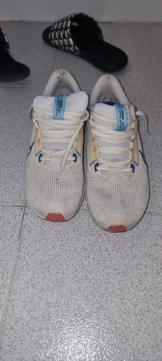 Nike Air Zoom Pegasus 40 Zapatillas Blancas