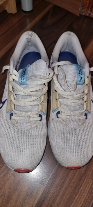 Nike Air Zoom Pegasus 40 Zapatillas Blancas
