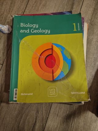 Vendo 10  libros de texto en buen estado de 1° ES
