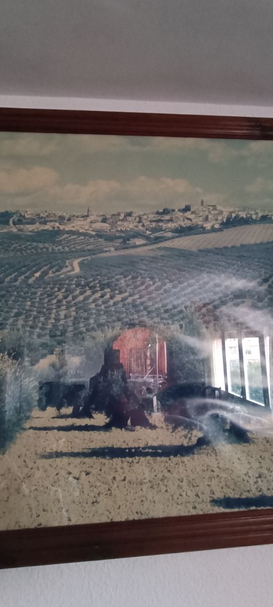 Cuadro de Arjona, Jaén, con su paisaje rural