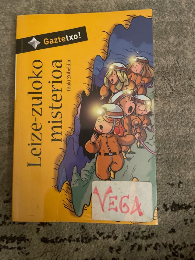 Libro Leize-zuloko misterioa