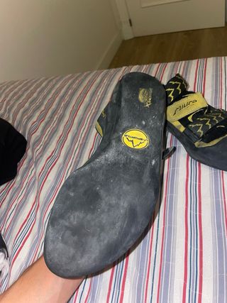 Pies de Gato La Sportiva Miura