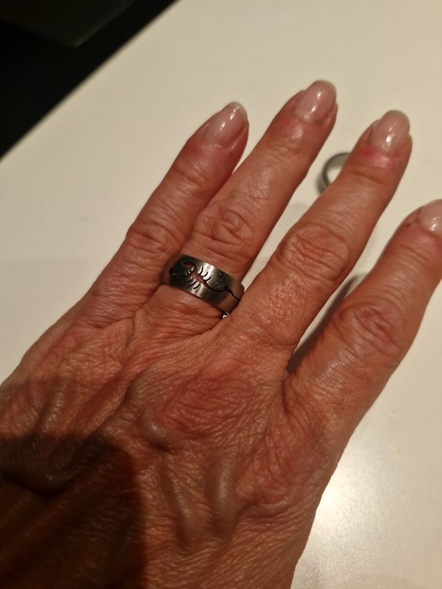 Anillos de Acero Plateado