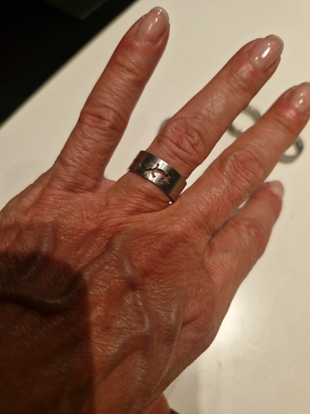 Anillos de Acero Plateado