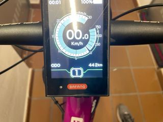 Bicicleta Eléctrica E-GUERA Morado/Rosa