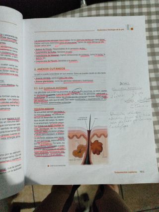 Tratamientos Capilares - Videocinco Editorial