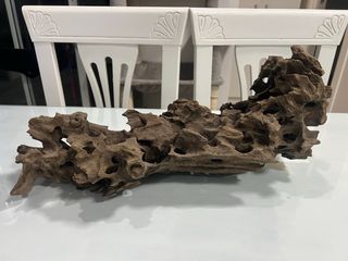 Tronco acuario 50 cm (ciclado, listo para usar)