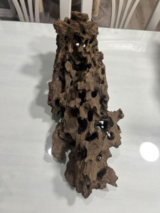 Tronco acuario 50 cm (ciclado, listo para usar)