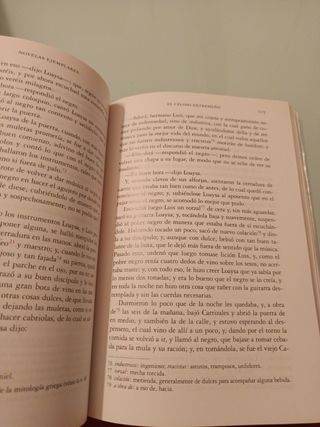 Novelas Ejemplares (Spanish Edition)