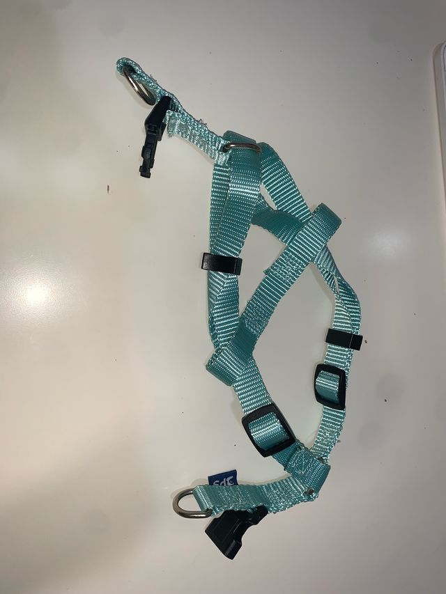 Arnés para perro pequeño