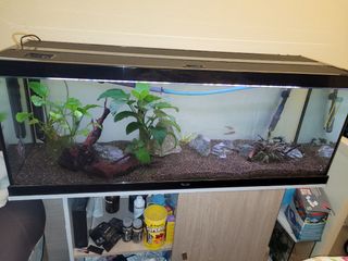 Acuario 250l Completo