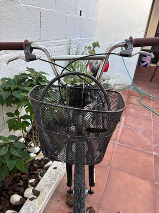 Bicicleta con cesta delantera