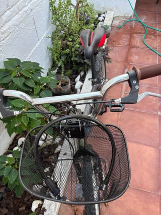 Bicicleta con cesta delantera