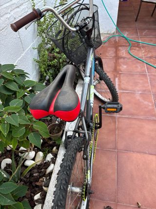 Bicicleta con cesta delantera