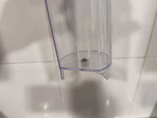 Cafetera Nespresso Mini Gris
