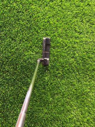 Palo golf Putter Hippo