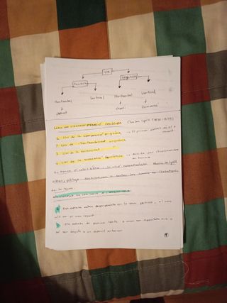 Apuntes asignatura Arqueologia e historia