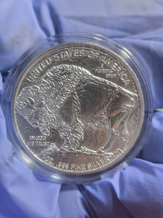 Moneda 1 Onza Plata Indio Búfalo