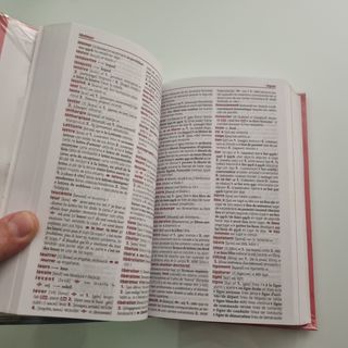 Diccionario Pocket español-francés / français-e...