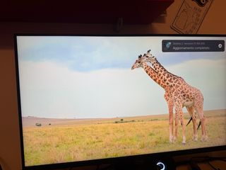 Monitor Samsung Space Nero