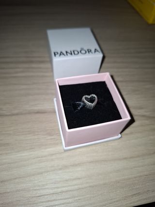 Pulsera Pandora con 2 charms
