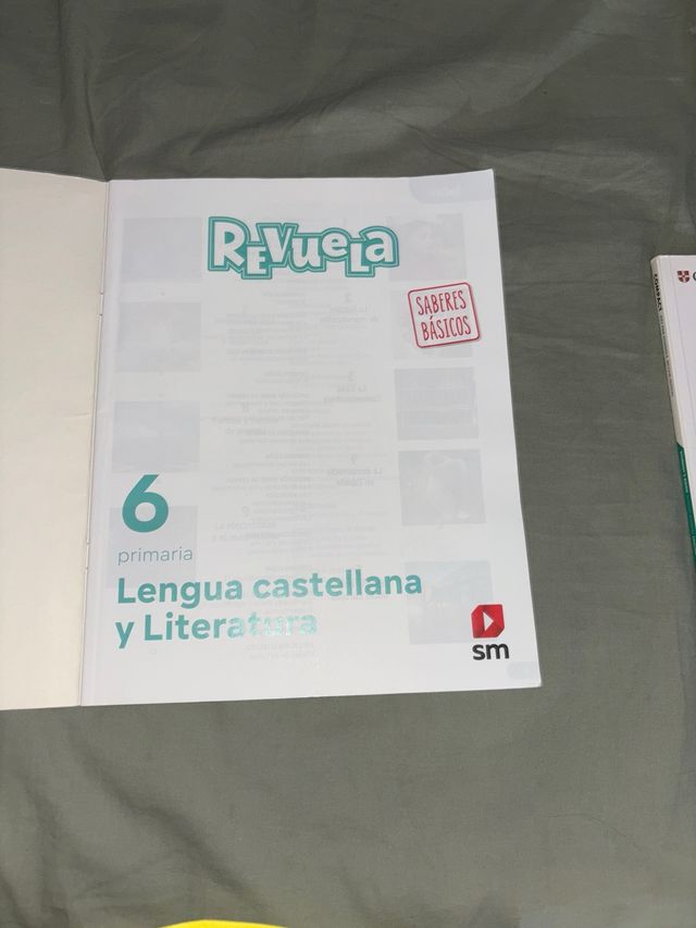 Libro De Saberes Básicos De Lengua Castellana
