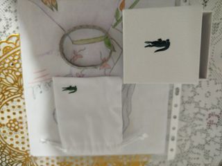 Pulsera Lacoste Hombre Plata