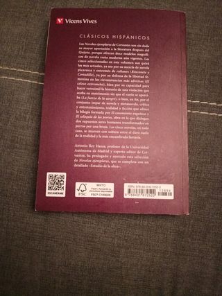 Novelas Ejemplares (Spanish Edition)