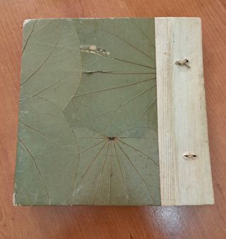 Album souvenir Tenerife cammello