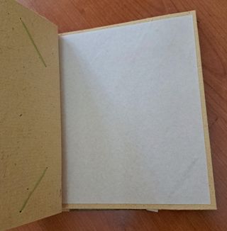 Album souvenir Tenerife cammello